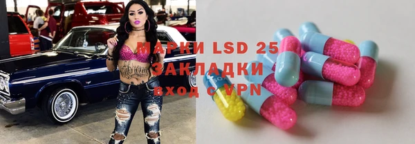 ПСИЛОЦИБИНОВЫЕ ГРИБЫ Балахна