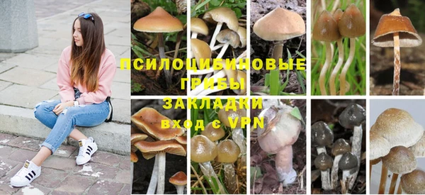 ешки Белокуриха
