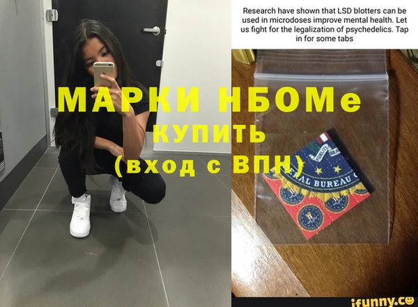 ешки Белокуриха
