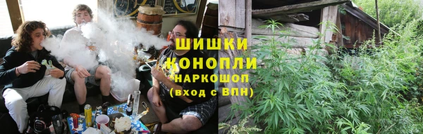 ПСИЛОЦИБИНОВЫЕ ГРИБЫ Балахна