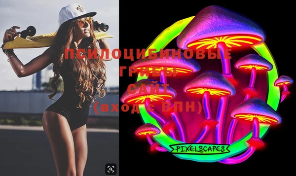 ПСИЛОЦИБИНОВЫЕ ГРИБЫ Балахна