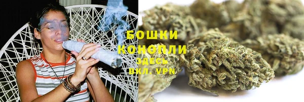 ПСИЛОЦИБИНОВЫЕ ГРИБЫ Балахна