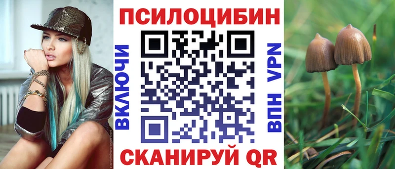 Псилоцибиновые грибы Psilocybine cubensis  Бутурлиновка 